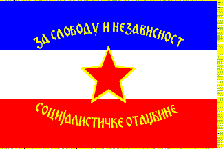 [Infantry unit flag]